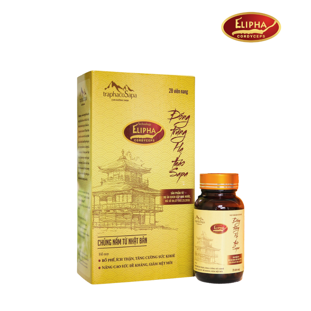 Viên nang Đông Trùng Hạ Thảo Sapa hỗ trợ bồi bổ sức khỏe, tăng cường sinh lực 28v