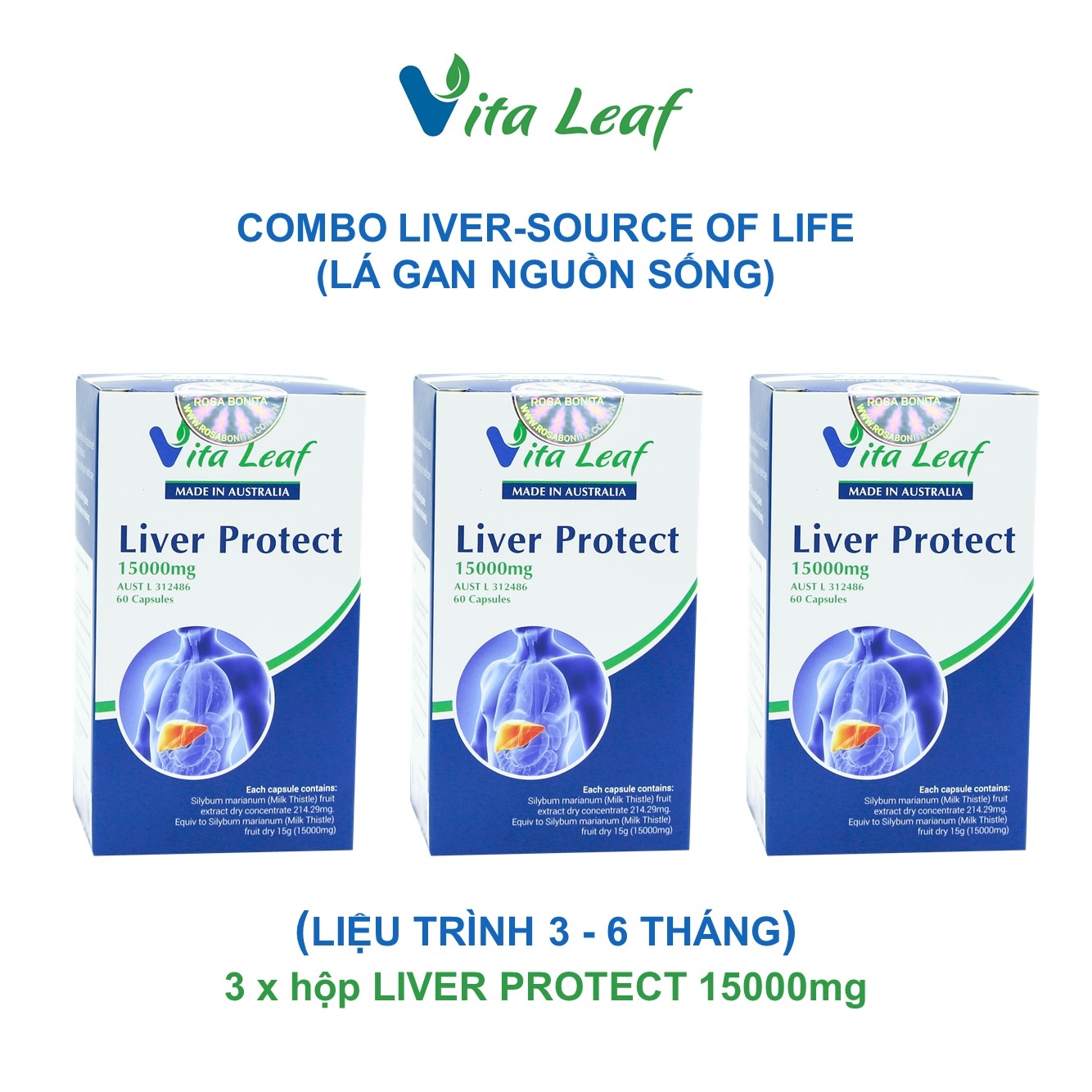 Combo liver-source of life (lá gan nguồn sống) (3 hộp)- Hỗ trợ Thải độc gan, bảo vệ và duy trì chức năng gan