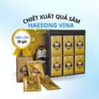 HAESONG VINA