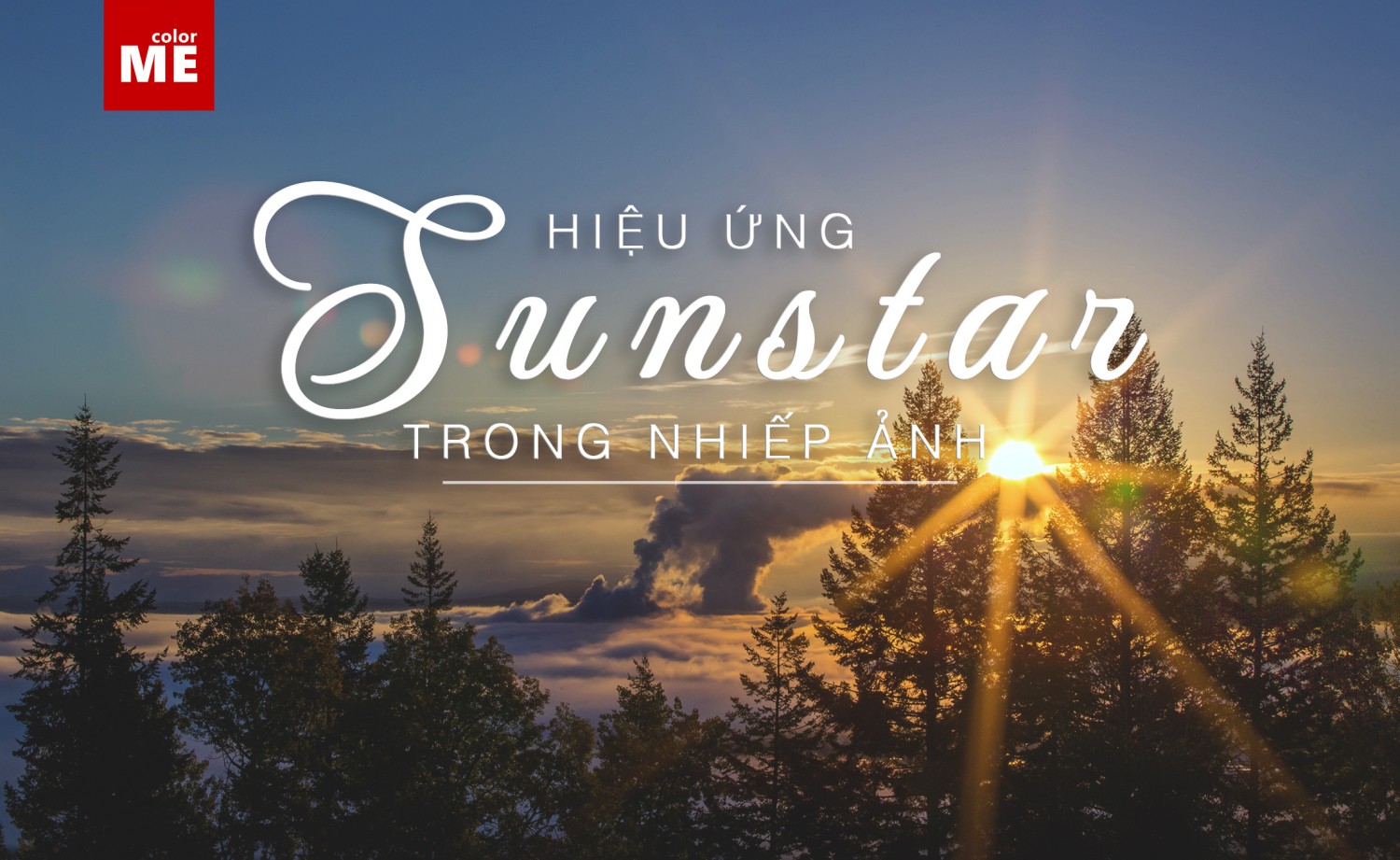image - Hiệu ứng sunstar trong nhiếp ảnh
