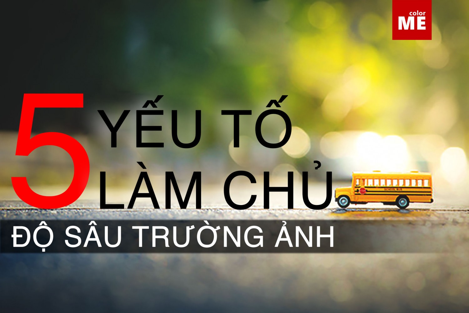 image - 5 yếu tố làm chủ độ sâu trường ảnh