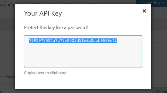 Sau đó, đi đến phần Global API Key và nhấp vào nút View.