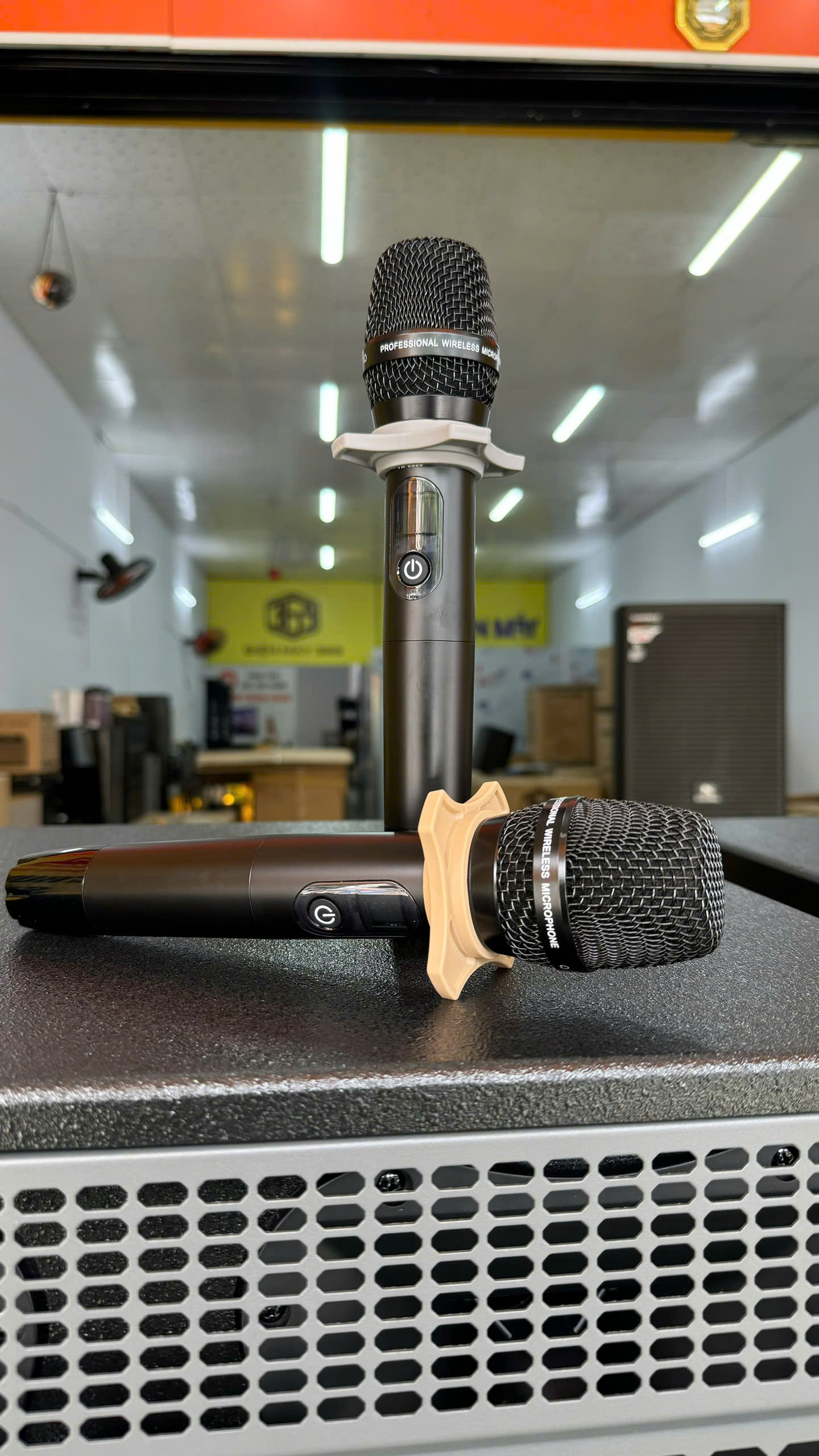 Loa Điện Chính Hãng Nanomax Pro 369D