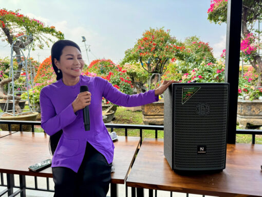 Loa Kéo Xách Tay Công Suất Lớn Nanomax S03 - Bass Nén 30cm 1100W ( TẶNG BALO TRỊ GIÁ 750K ) ) - Ảnh 4