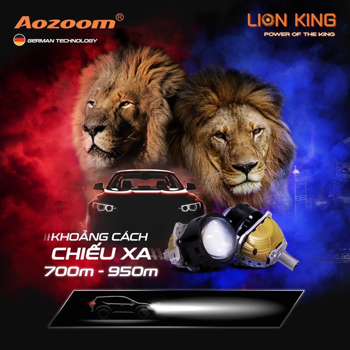 Bi Cos Pha Aozoom Lion King