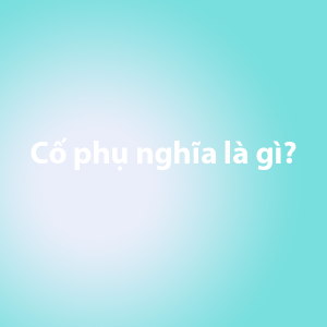 Cố phụ nghĩa là gì​?
