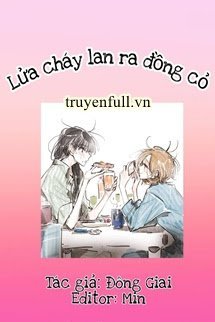 LỬA CHÁY LAN RA ĐỒNG CỎ