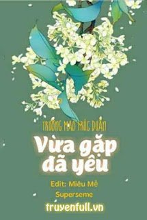 VỪA GẶP ĐÃ YÊU