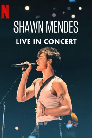 Shawn Mendes: Trực tiếp tại buổi hòa nhạc